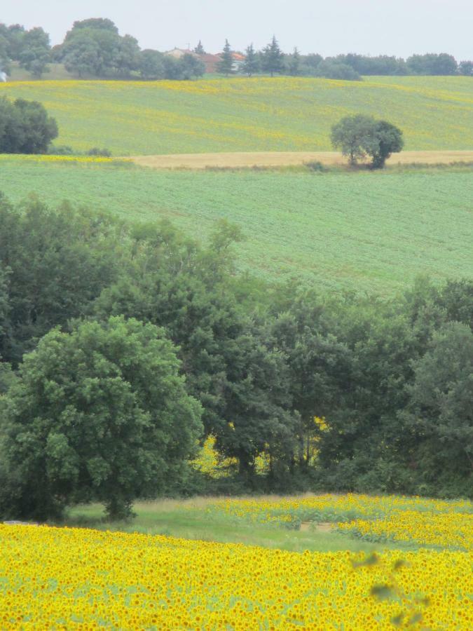 Bienvenue Dans Notre Petit Paradis Daire Pelleport Dış mekan fotoğraf